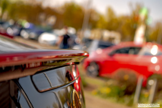 IMGP1795-1