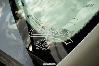 Alles_Polo_in_Melle_2022-212