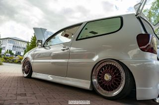 Alles_Polo_in_Melle_2022-219