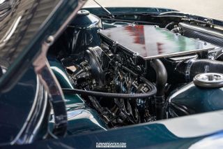 Alles_Polo_in_Melle_2022-277