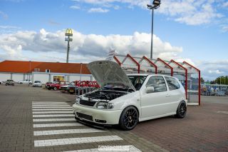 Alles_Polo_in_Melle_2022-426