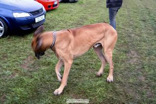 Opeltreffen_Bohnhorst-2005-030