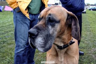 Opeltreffen_Bohnhorst-2005-032