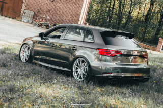 IMGB9729