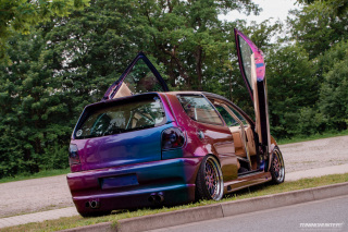 IMGP3411