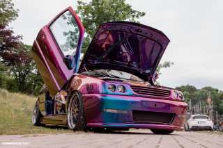 IMGP3451